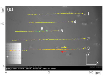 Ferrimagnetic Tb/Co multilayers patterned by ion bombardment as substrates for magnetophoresis